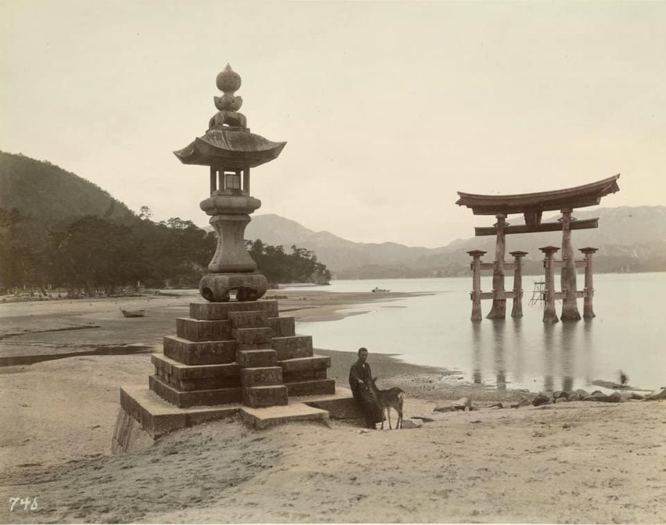 Pale Pink and Light Blue. Japanese Photography from the Meiji Period (1868-1912)
