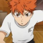Haikyuu!! Volleyball Anime