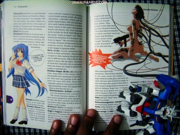 otaku-encyclopedia-page-example-exia